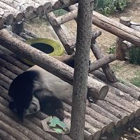 評論圖片 1