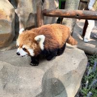 評論圖片 7