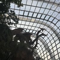 評論圖片 7