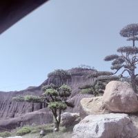 評論圖片 6