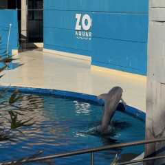 Zoo Aquarium de Madrid