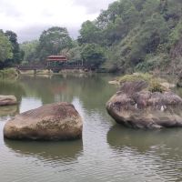 評論圖片 9