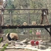 評論圖片 5