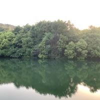 評論圖片 1