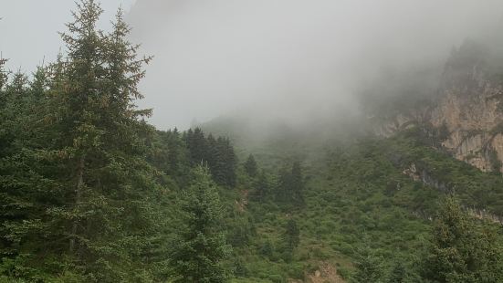 在携程网上买票速度快，再去景区门口换票，景区门口的票就是一张