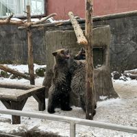 評論圖片 7