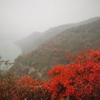 評論圖片 5