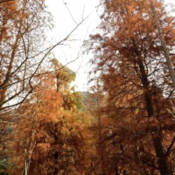 評論圖片 2