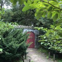 評論圖片 8