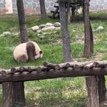評論圖片 4
