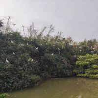 評論圖片 1