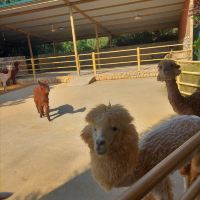 評論圖片 5