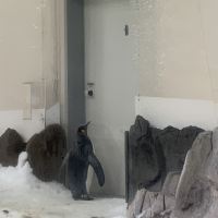 評論圖片 7