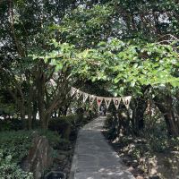 評論圖片 4