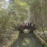 評論圖片 7