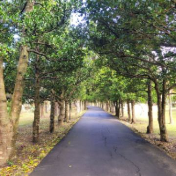 評論圖片 6