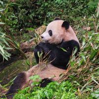 評論圖片 6