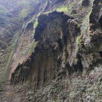 評論圖片 6