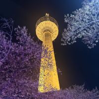 評論圖片 2