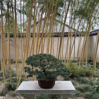 評論圖片 8
