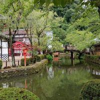 評論圖片 2