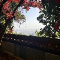 評論圖片 1