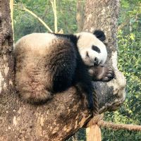 評論圖片 6