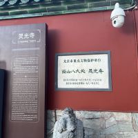 評論圖片 6