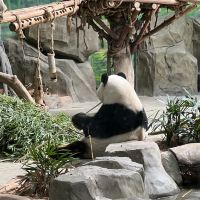 評論圖片 6