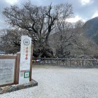 評論圖片 6