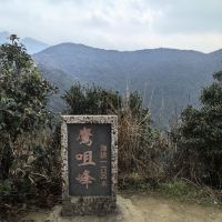 評論圖片 6