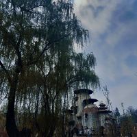 評論圖片 2