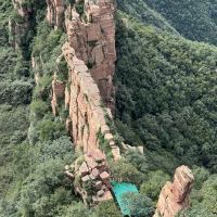 評論圖片 5