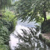 評論圖片 2