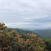 評論圖片 4