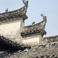 評論圖片 2