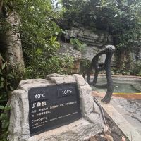 評論圖片 8