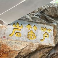 評論圖片 2