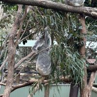 評論圖片 9