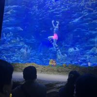 評論圖片 9