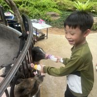 評論圖片 7