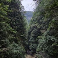 評論圖片 2