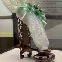 評論圖片 7