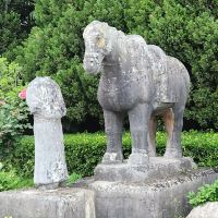 評論圖片 5