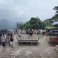 評論圖片 3