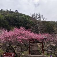 評論圖片 4
