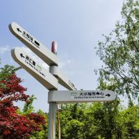 評論圖片 9