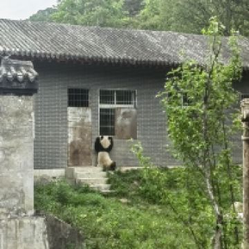 評論圖片 1