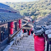 評論圖片 2