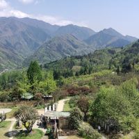 評論圖片 2